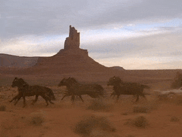Horses GIF by Back to the Future Trilogy