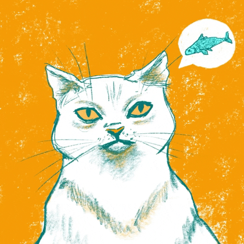ohynny cat illustration hungry kitty GIF
