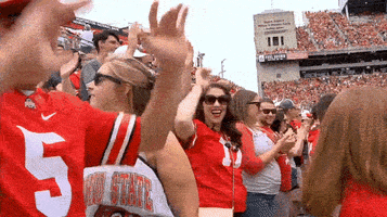 Fans Hug GIF by Ohio State Athletics