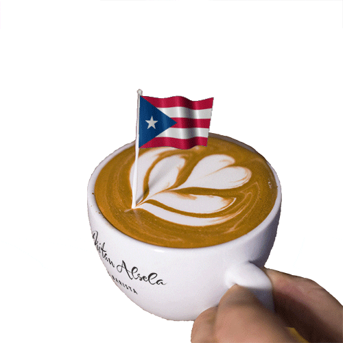 Flag Of Puerto Rico Gifs Get The Best Gif On Giphy