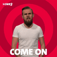 Come On What GIF by SWR3