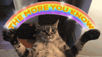 200w.gif