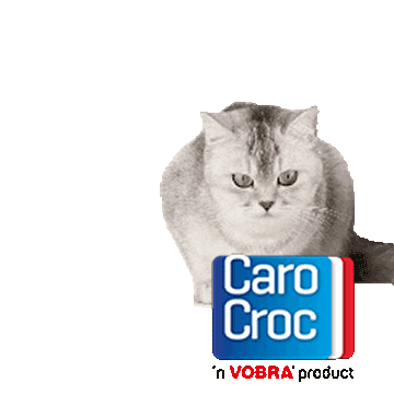 CaroCroc Sticker