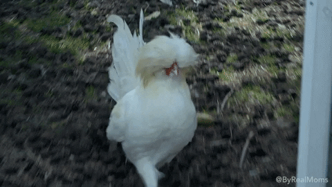 wybieg reality show GIF przez Children's Miracle Network Hospitals