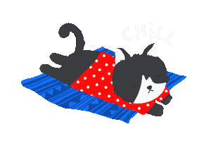 Cat Sticker
