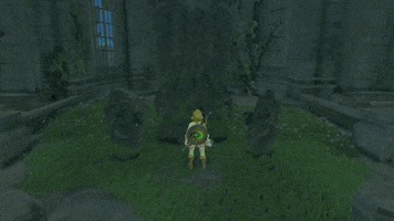 Zelda Breath Of The Wild Link GIF by stake.fish