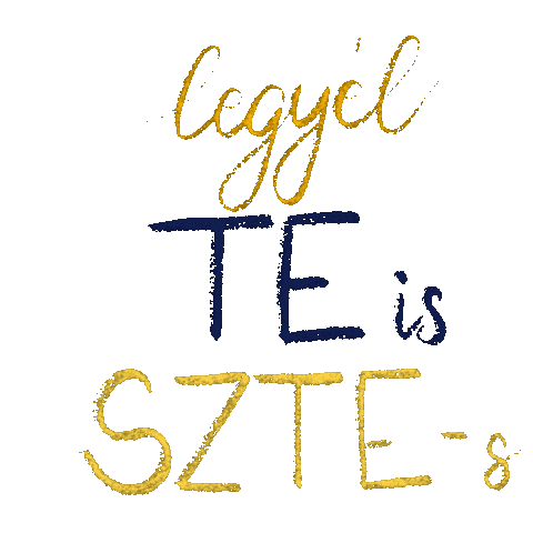 Ididit Sticker by University of Szeged