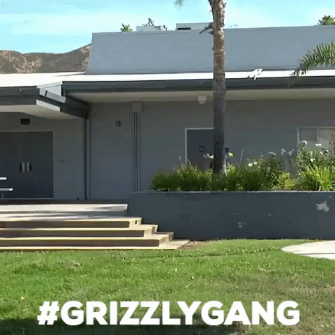 Torey Pudwill GIF