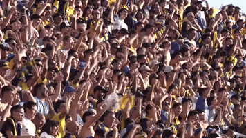 Club Atlético Rosario Central GIF