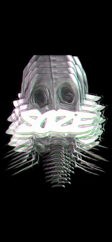 Keyser Soze Producer GIF by Bonne Chance Music