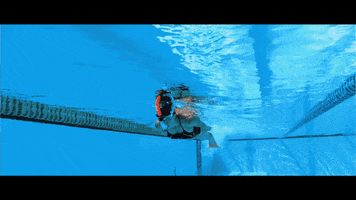 Orcagif GIF