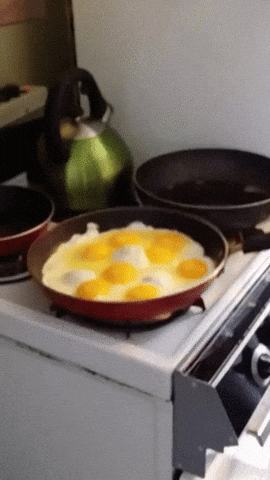 giphy.gif?cid=4d1e4f2914202d71064ea3a83c251ea7d28f3e8ff71ccc0d&rid=giphy.gif