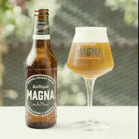 San Miguel Beer GIF by Cervezas-San-Miguel