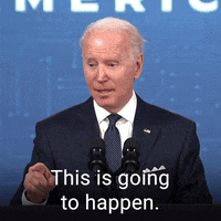 Excited Joe Biden GIF by The Democrats