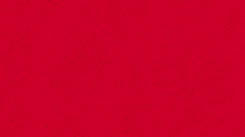 200.gif?cid=fc005b085675bcfeeba0ac1e2cdd1f47e79bcfaa952c7f32&rid=200.gif&ct=g