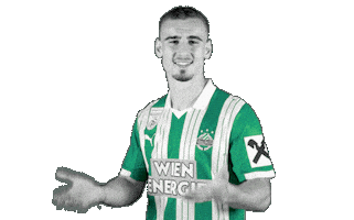 Fk Austria Bundesliga Sticker by SK Rapid