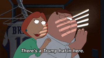 Trump Hat GIF by Family Guy