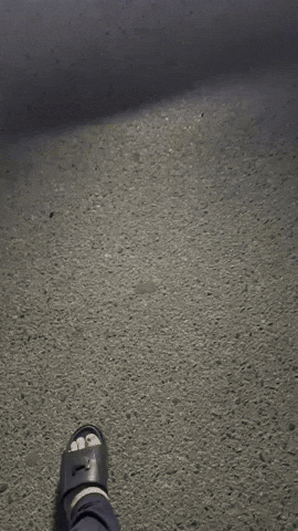 020 GIF