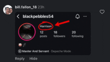 Instagram Fallon GIF