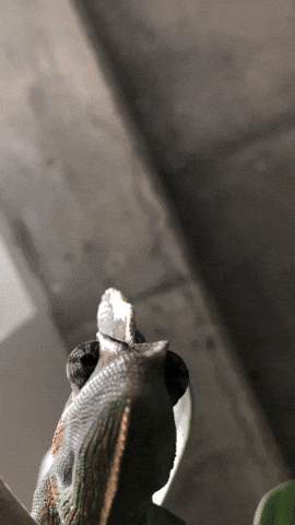 Https Encrypted Tbn0 Gstatic Com Images Q Tbn 3aand9gcsbaibrpb5oo0vpyqbk0u9ynxrxru9vcracxg Usqp Cau