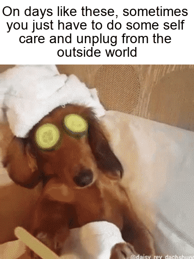 Meme gif. Weiner dog wearing a small towel as a turban and cucumber slices over its eyes lays on a couch, a person filing its little doggy nails with an emory board as the dog relaxes contentedly. Text, "On days like these, sometimes you just have to do some self care and unplug from the outside world."