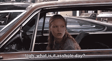 asshole 10 things i hate about you GIF