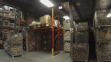 njcrofts  GIF