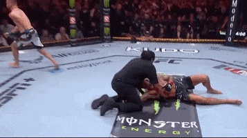 Mixed Martial Arts Knockout GIF by UFC