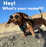 Whats Your Name Its My Birthday GIF