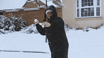 Fight Snow GIF by Rise at Seven