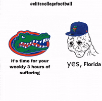 Florida Gators GIF