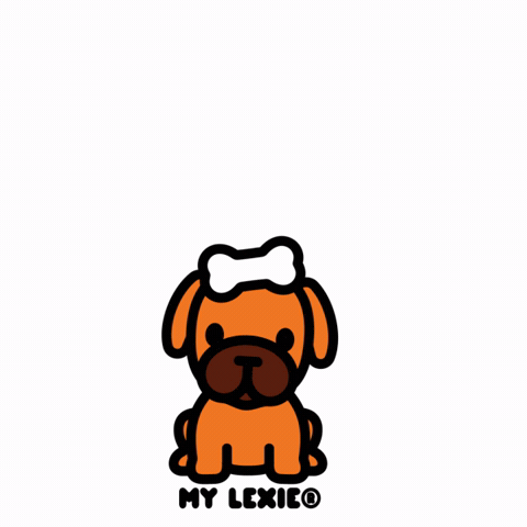 Happy Boxer Dog GIF