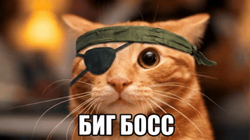 Metal Gear Solid Snake GIF