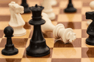 Chessplayerswinners GIF