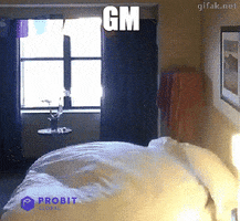 Good Morning Bitcoin GIF by ProBit Global