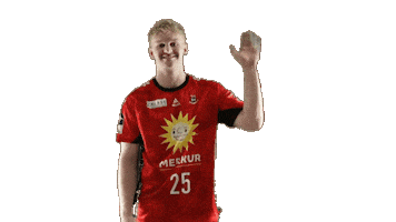 Handball Hallo Sticker by tusnluebbecke