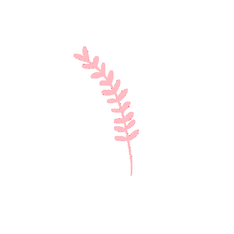 Drawing Love Sticker by Lovella Organics