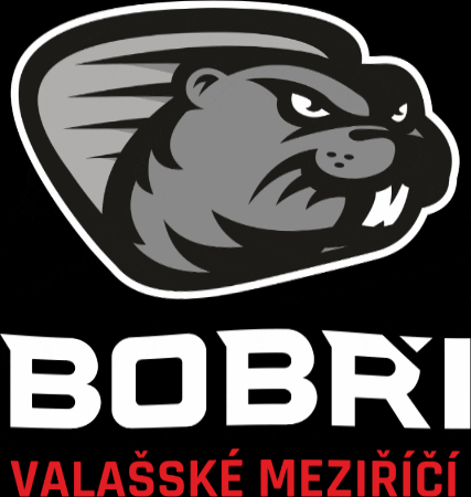HC Bobři Valašské Meziříčí GIF