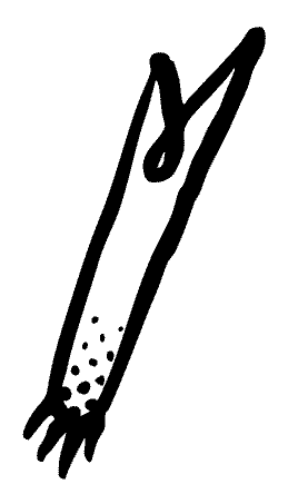 Pa Sticker by ohmuamua