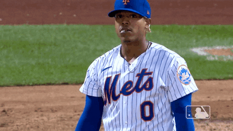 High Five Ny Mets GIF by New York Mets - Find & Share on GIPHY