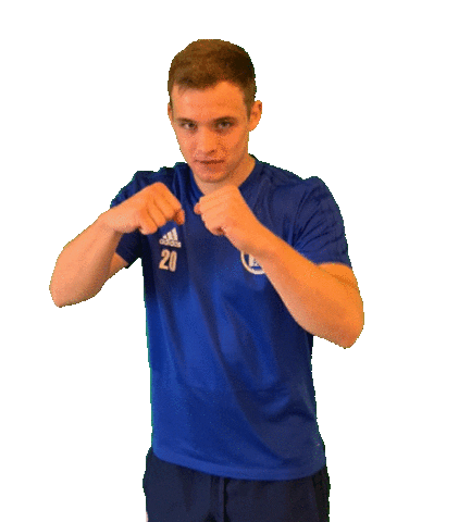 Hsv Sticker by SVHeek