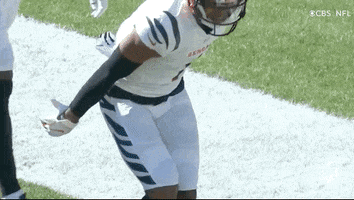 Who Dey Football GIF by NFL