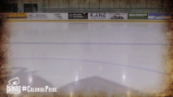 happy ice hockey GIF by Robert Morris University Athletics