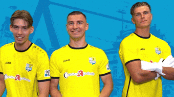 Football Goalkeeper GIF by ChemnitzerFC