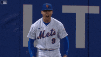 Nimmo-home-run GIFs - Get the best GIF on GIPHY