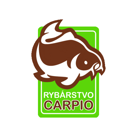 Fish Fishing Sticker by Carpio