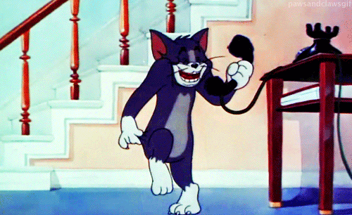 Tom And Jerry Cat GIF