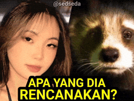 Sedseda GIF