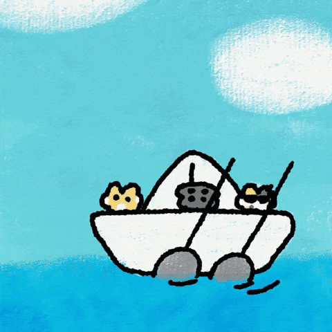 Cat Ocean GIF