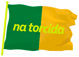 Timebrasil Sticker by Petrobras